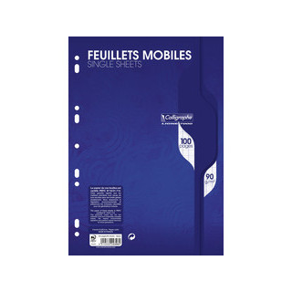 Feuilles mobiles - 21 x 29.7 cm - 90 gr - 100 pages  Seyes - Blanches