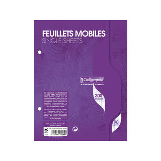 Feuilles mobiles - 17 x 22 cm - 90 gr - 200 pages  Seyes - Blanches