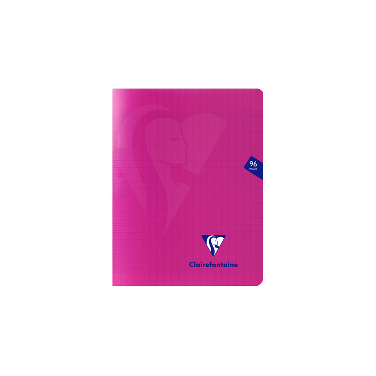 Cahier Clairefontaine Mimesys -  17 x 22 - 96 pages - 90gr