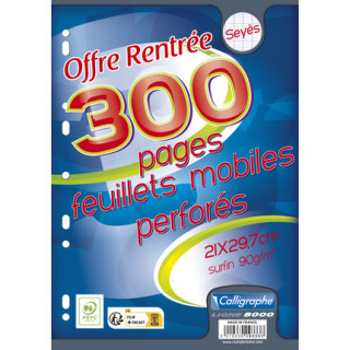 copie de Feuilles mobile 21 x 29,7 - callligraphe Paquet de 300