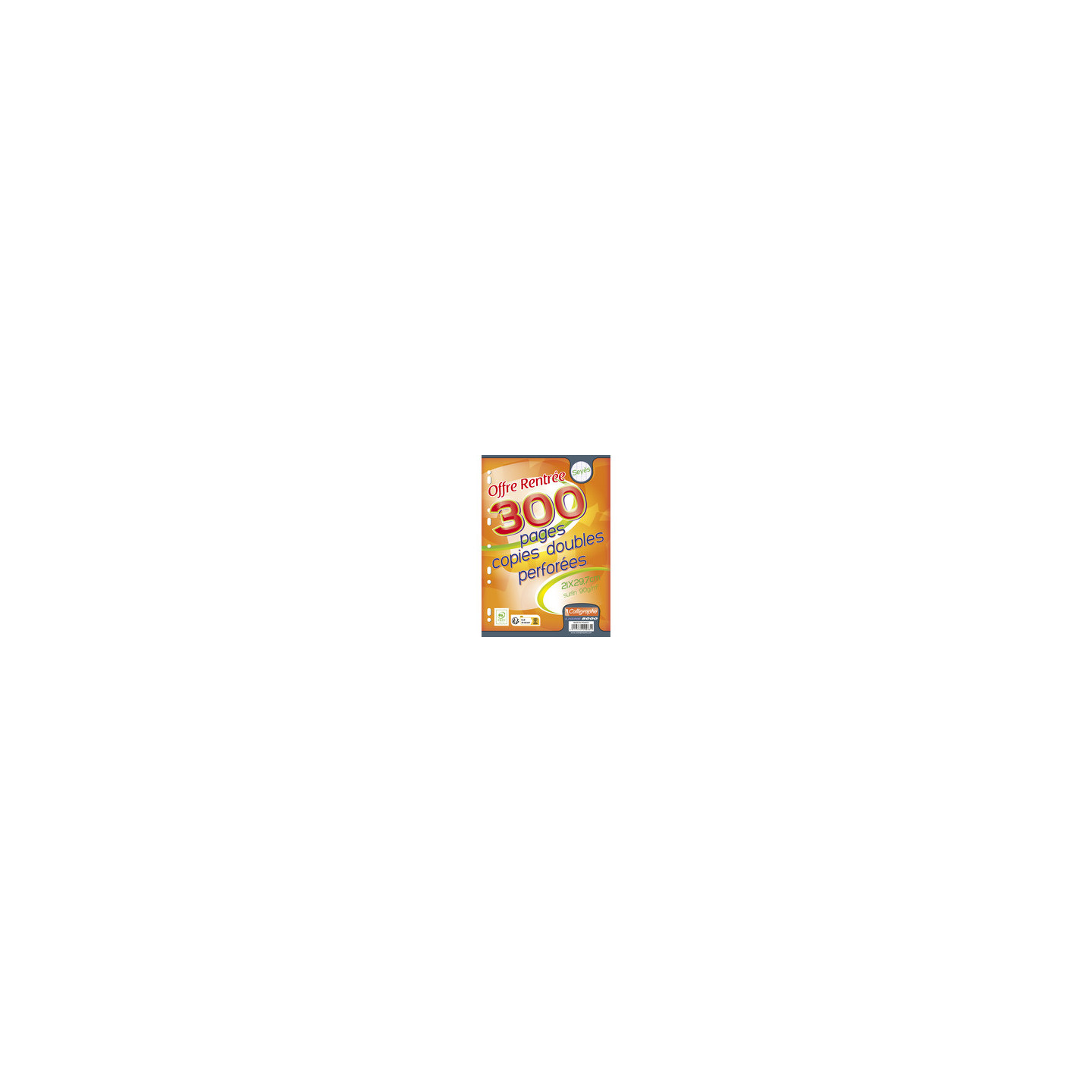 Copies doubles 21 x 29,7 - Callligraphe- 90 gr - Paquet de 300